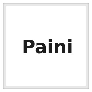 Paini