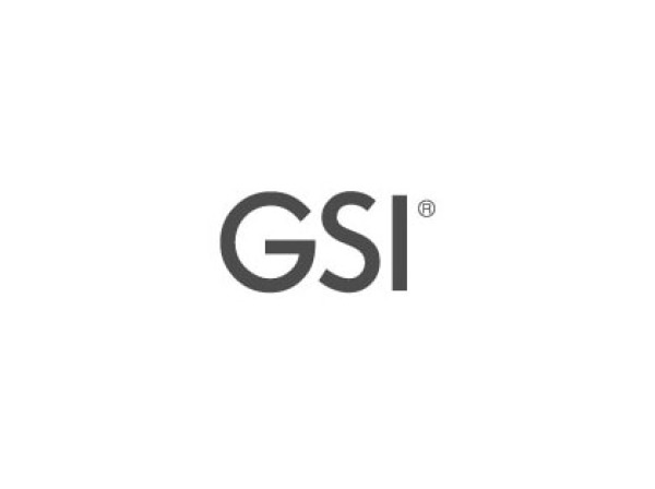 GSI