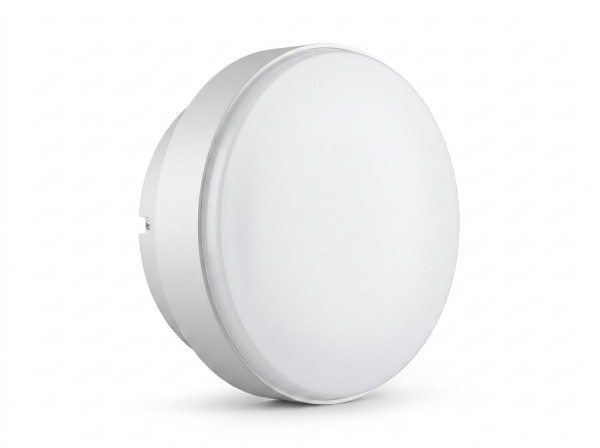 Светильники настенно-потолочные