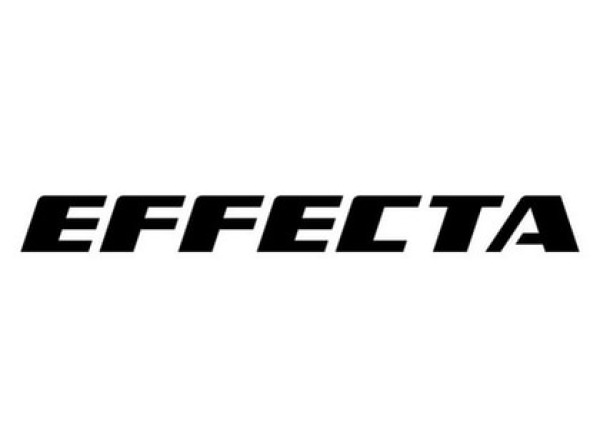 EFFECTA