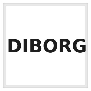 DIBORG