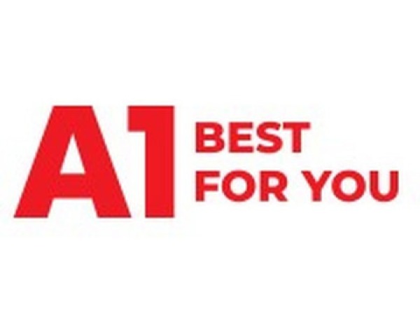 A1