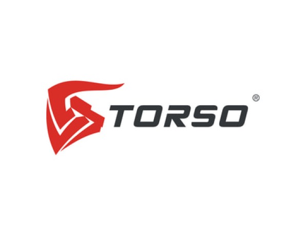 TORSO