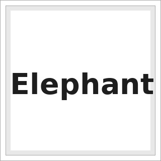 Elephant
