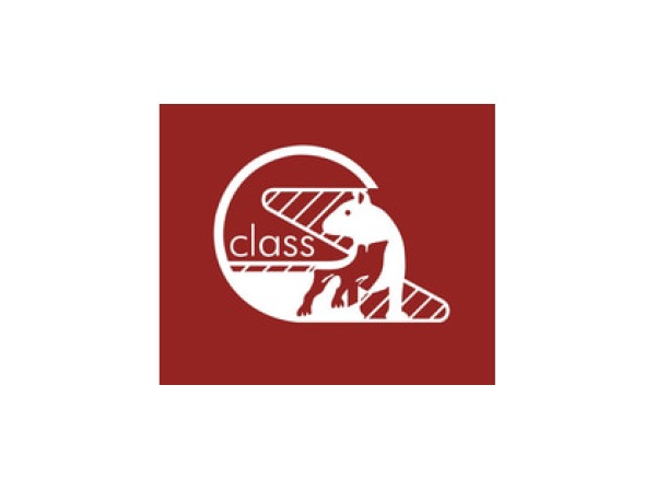 Class