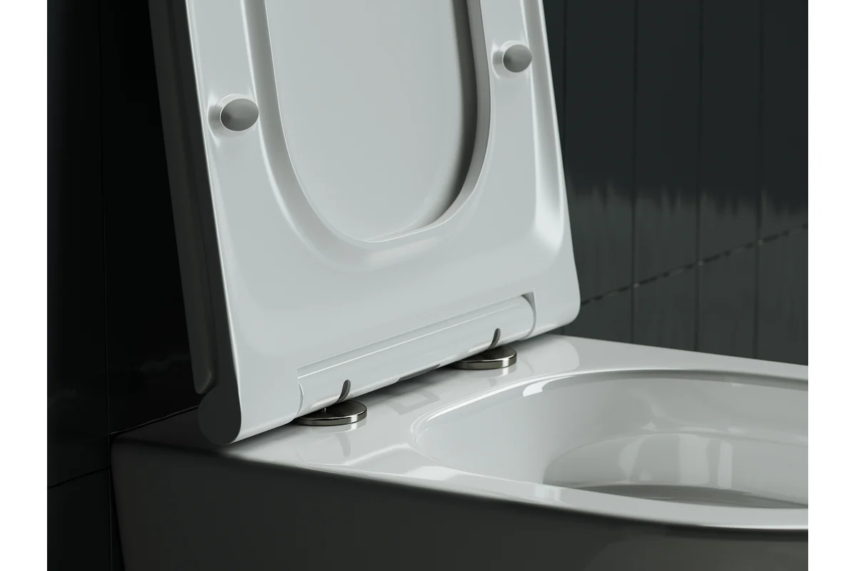 Подвесной унитаз Ceramicanova Rimless CN3011