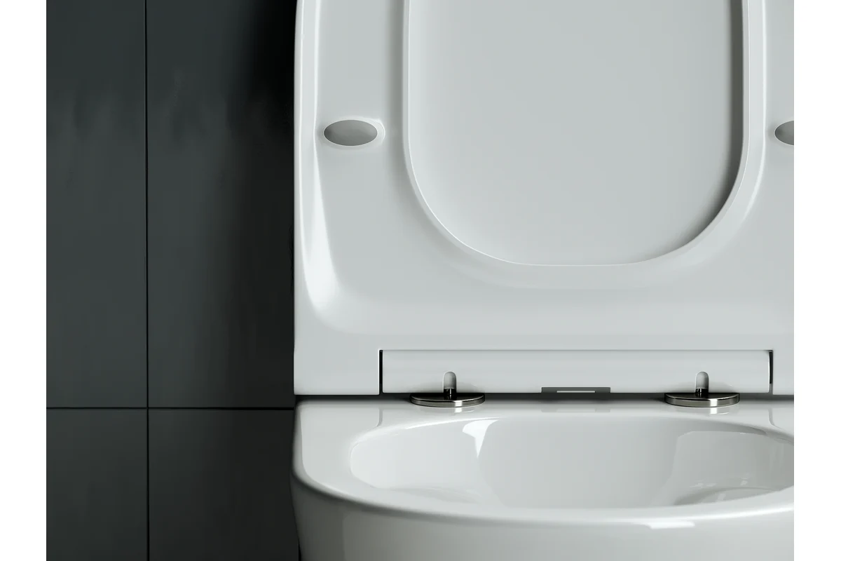 Подвесной унитаз Ceramicanova Rimless CN3011