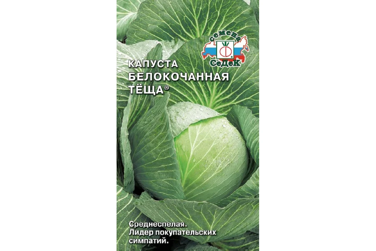 Семена СеДек Капуста Тёща 00000014009