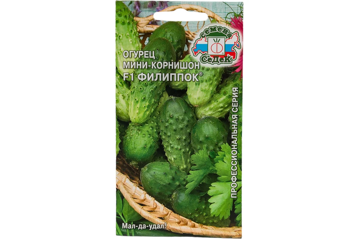 Семена СеДек Огурец Филиппок 00000013940