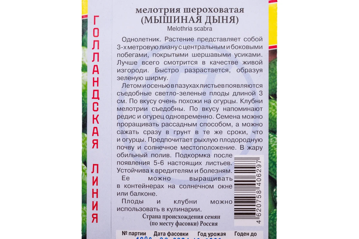 Мелотрия шероховатая Престиж-Семена 00023358