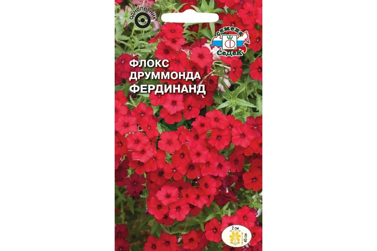 Семена СеДек Флокс Фердинанд 00000015018