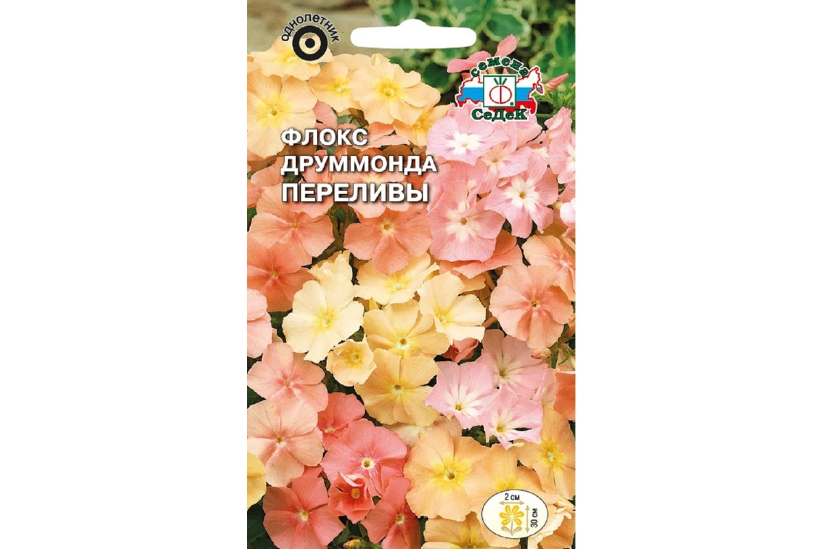 Семена СеДек Флокс Переливы 00000015019