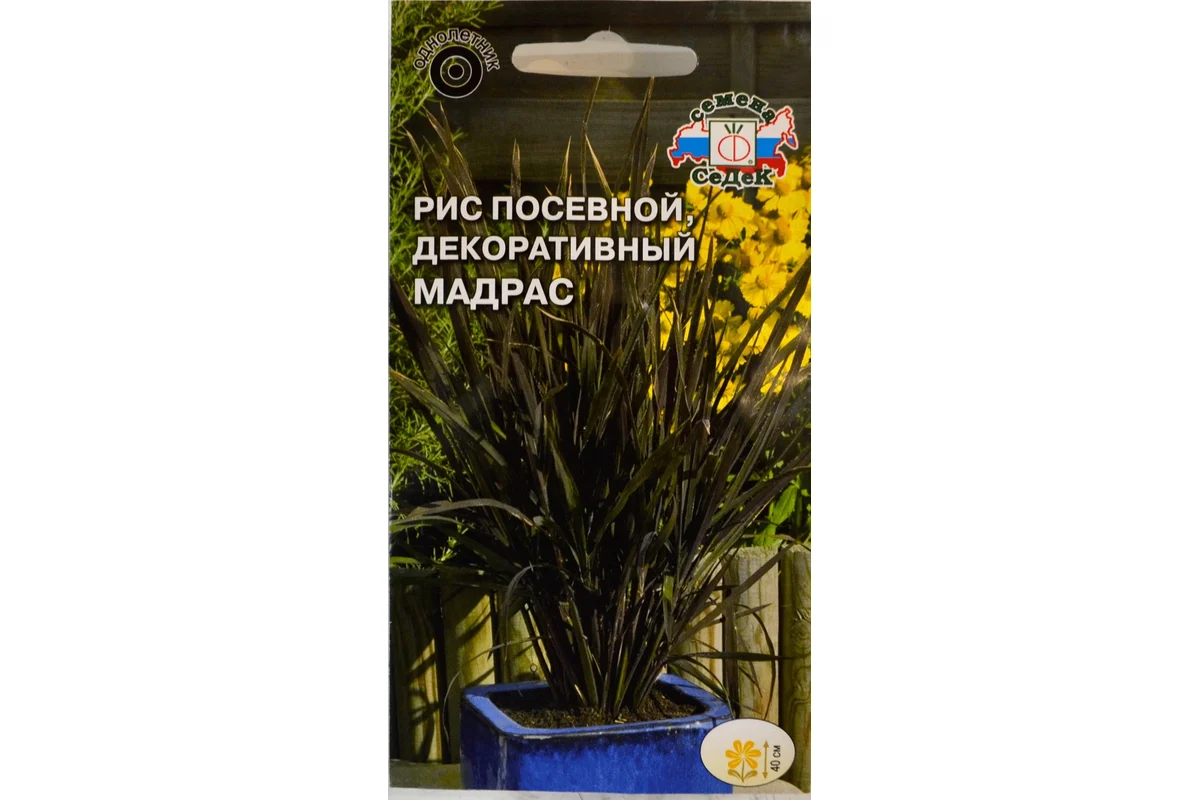 Семена СеДек Рис Мадрас 00000014371