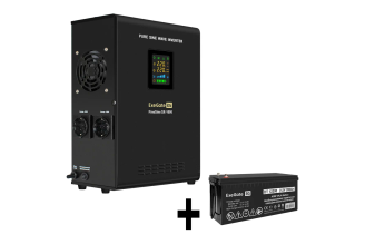 Комплект ИБП ExeGate FineSineSX-1000.LCD.AVR.2SH 1000 ВА 600 Вт 296561