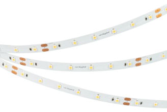 Светодиодная лента Arlight NT-A60 033518 24 В, 2700 К, 5 м