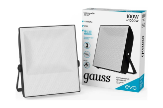 Светодиодный прожектор Gauss EVO 100 Вт 6500 К IP65 687511100