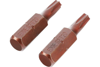 Бита (2 шт; T20; 25 мм) PATRIOT 818010019