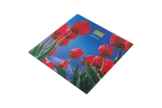 Напольные электронные весы HomeStar HS-6001I стеклянная поверхность, 180 кг 005187