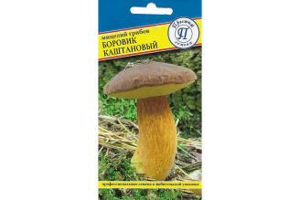 Боровик каштановый Престиж-Семена, арт. 00034165