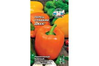 Семена перца СеДек Джек 00000014046