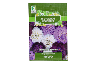 Иберис зонтичный Агрохолдинг ПОИСК Коллаж 0.5 г 715091
