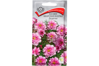 Космея Агрохолдинг ПОИСК махровая кнопка Двуцветная 0.1 гр 668365