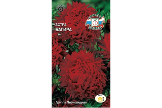 Семена СеДек Астра Багира 0,2 г 00000015522