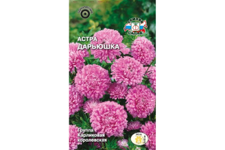 Семена СеДек астра Дарьюшка 00000015712
